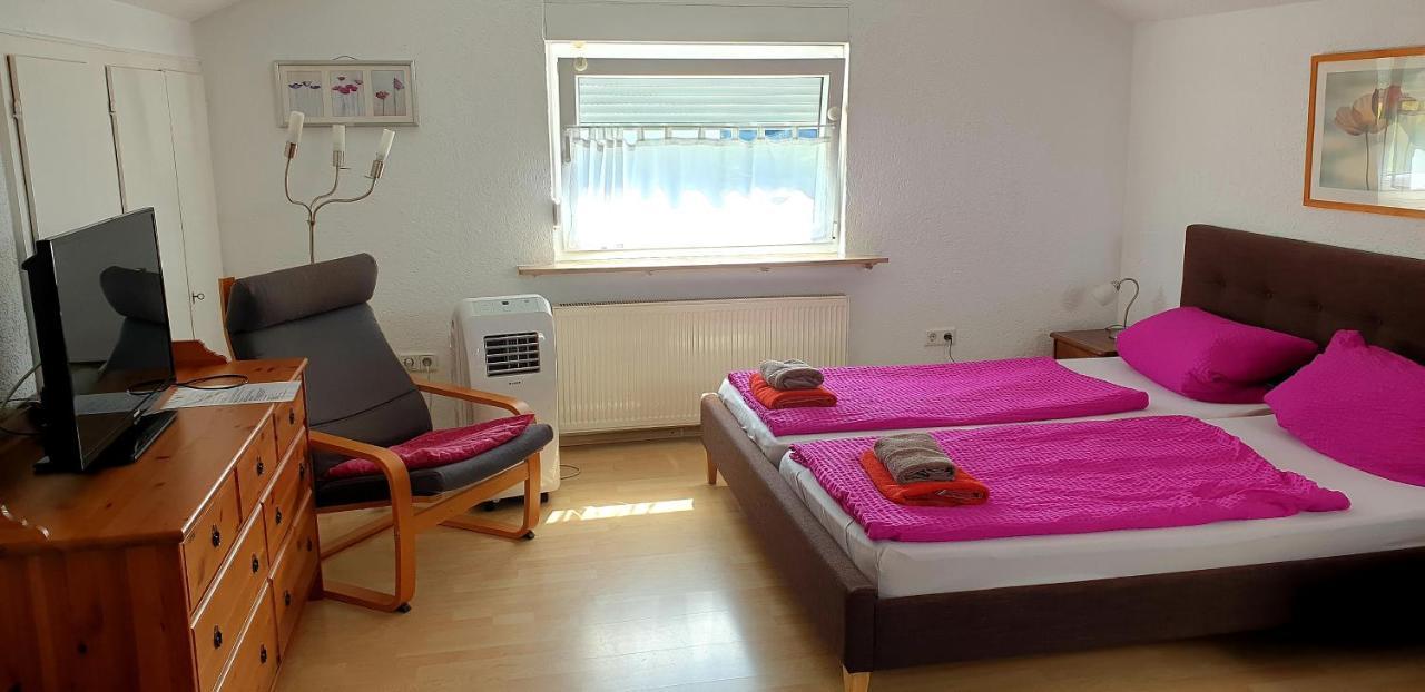 Apartmenthaus "Zum Lowen" Heidelberg - Ziegelhausen Exteriér fotografie