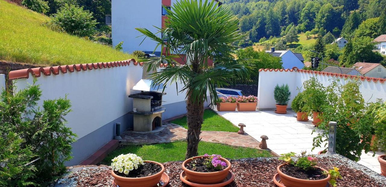 Apartmenthaus "Zum Lowen" Heidelberg - Ziegelhausen Exteriér fotografie