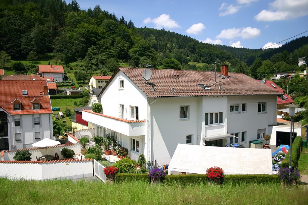 Apartmenthaus "Zum Lowen" Heidelberg - Ziegelhausen Exteriér fotografie