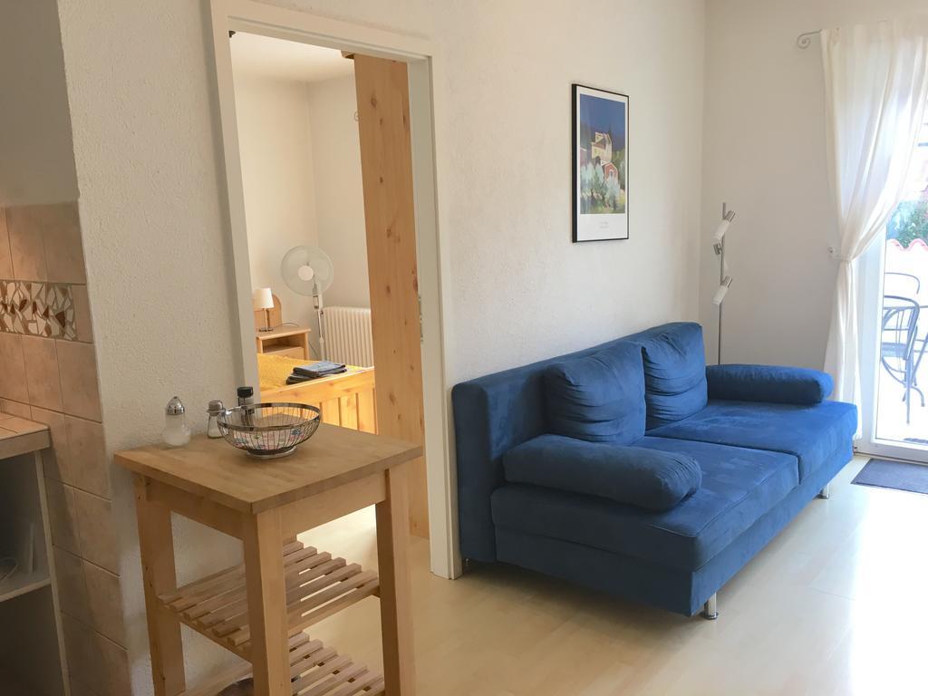 Apartmenthaus "Zum Lowen" Heidelberg - Ziegelhausen Exteriér fotografie