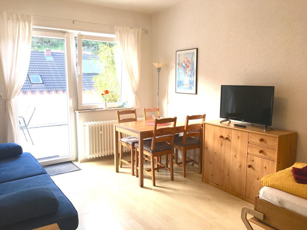 Apartmenthaus "Zum Lowen" Heidelberg - Ziegelhausen Exteriér fotografie