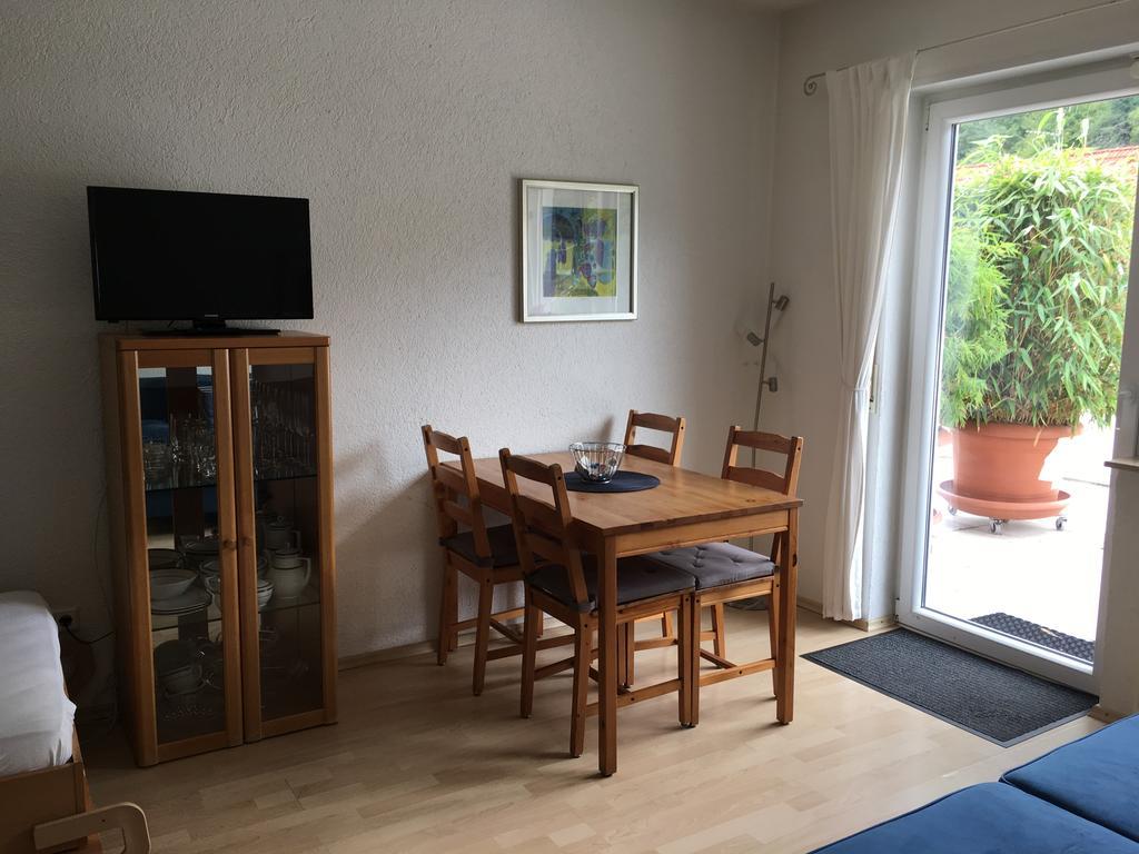 Apartmenthaus "Zum Lowen" Heidelberg - Ziegelhausen Exteriér fotografie