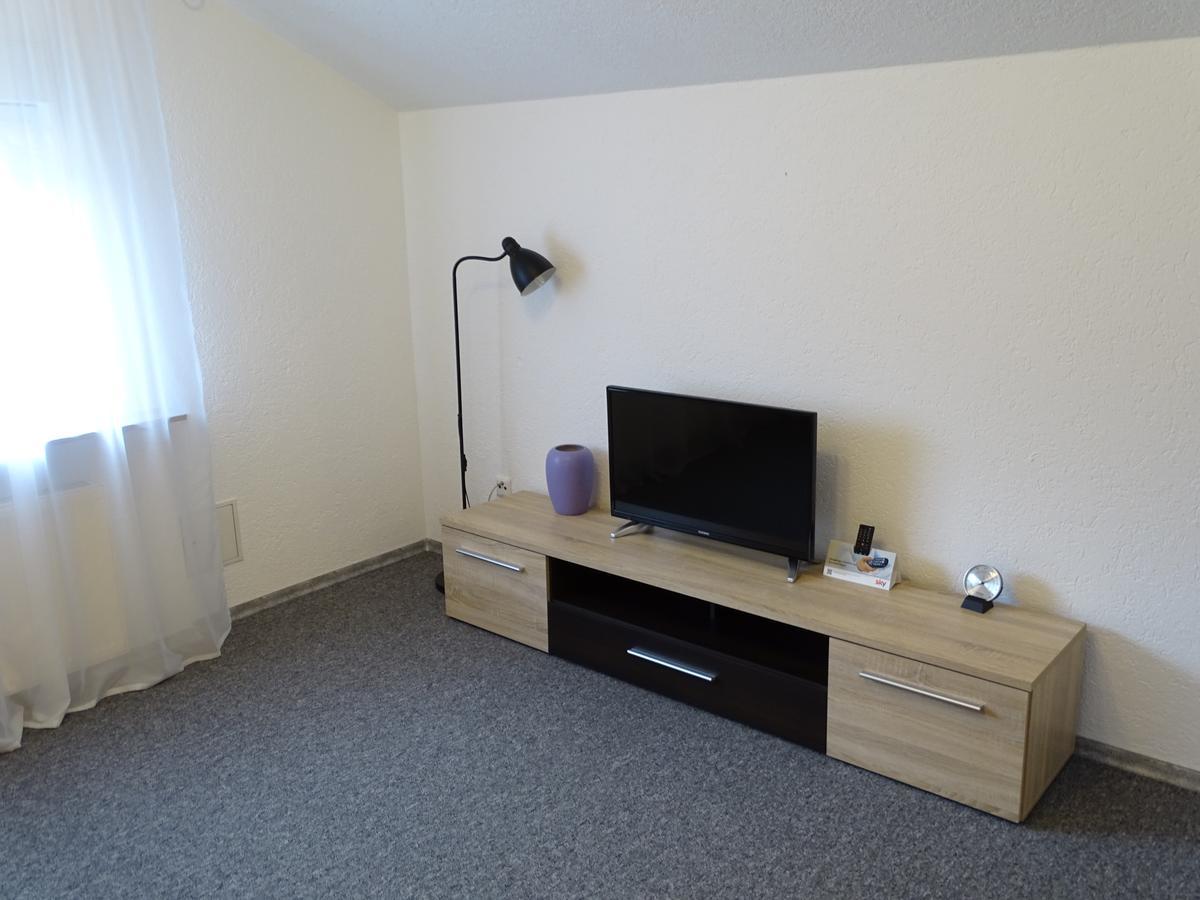 Apartmenthaus "Zum Lowen" Heidelberg - Ziegelhausen Exteriér fotografie