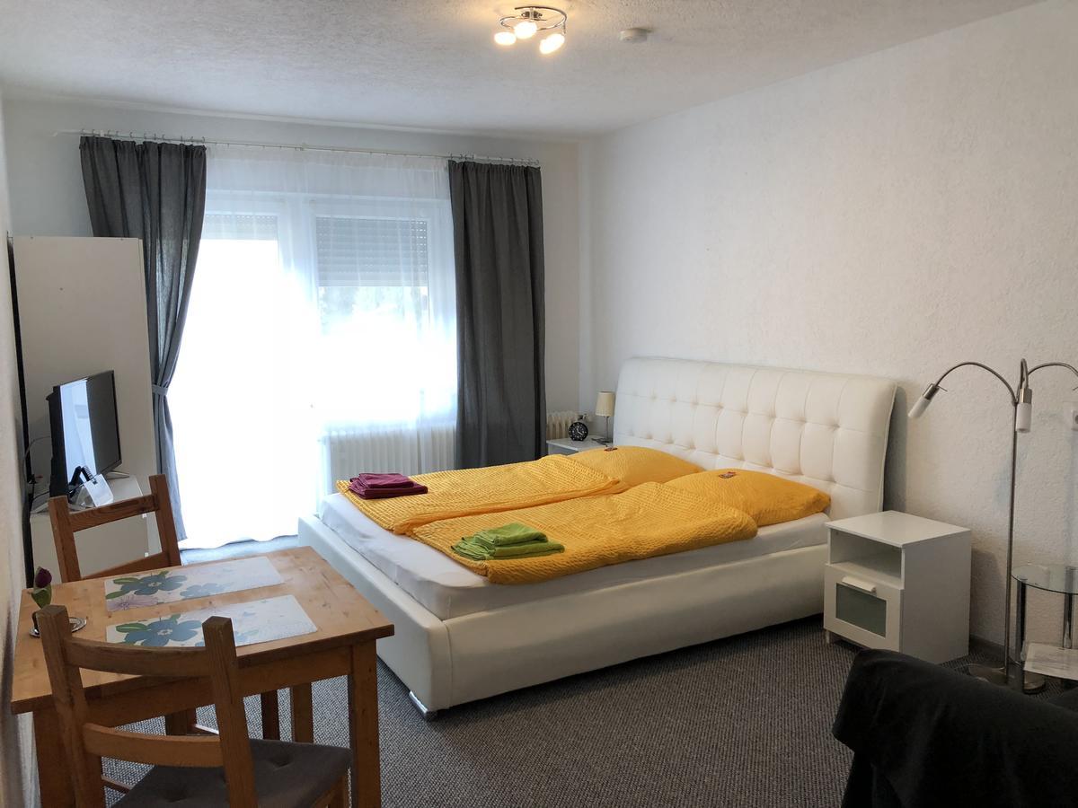 Apartmenthaus "Zum Lowen" Heidelberg - Ziegelhausen Exteriér fotografie
