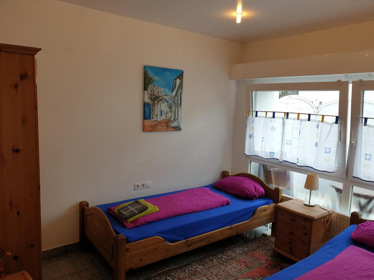 Apartmenthaus "Zum Lowen" Heidelberg - Ziegelhausen Exteriér fotografie